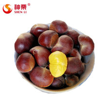 Cheaper Price New Crop Shandong Fresh Chestnut